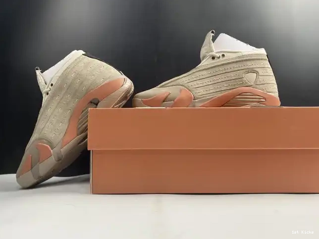 14 Low Jordan Blush Retro DC9857-200 Clot Terra AIR 0520